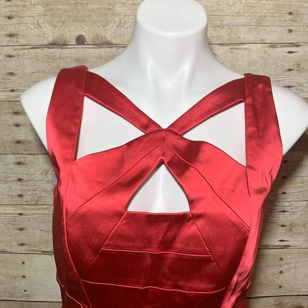 Jax cutout sheath dress plumeria valentines dress - Picture 4 of 8